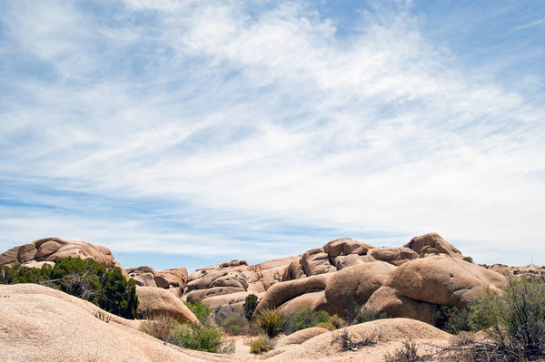 Earth Body (Joshua Tree)